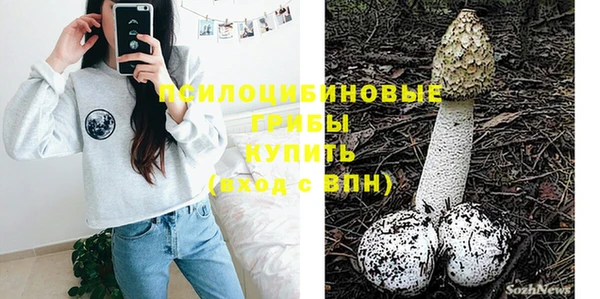 бошки Арсеньев