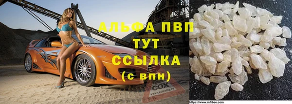 винт Аркадак