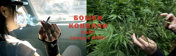 винт Аркадак